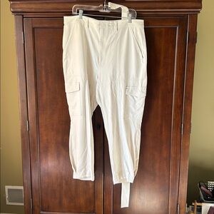 Banana Republic Light Tan Trousers